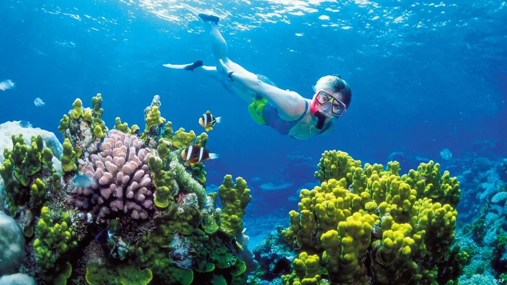 gbr 1